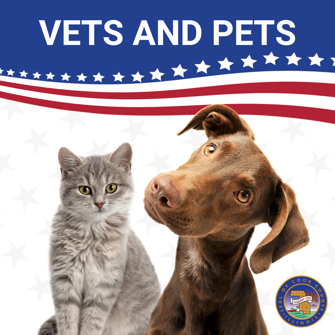 Vets and Pets image with dog and cat