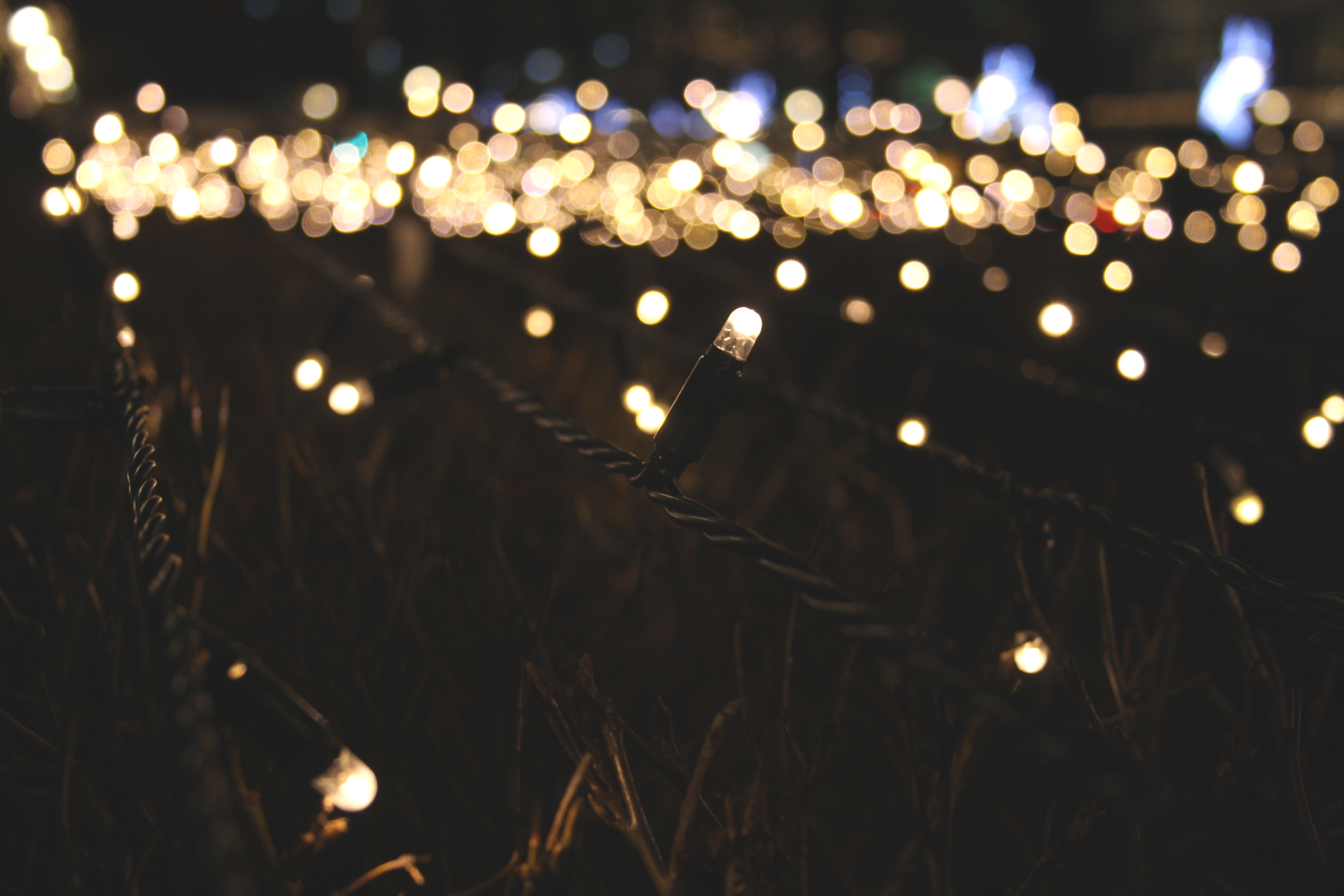 holiday-lights